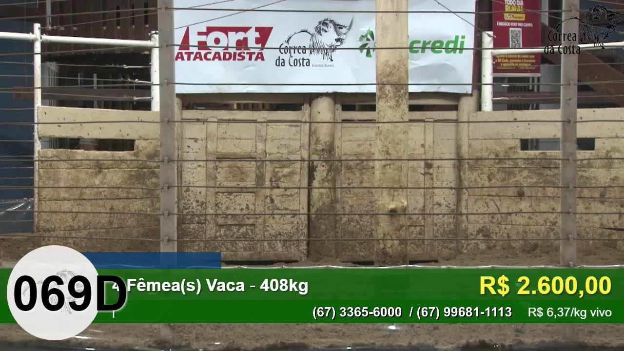 4750º LEILÃO CABECEIRA FÊMEAS CORREA DA COSTA