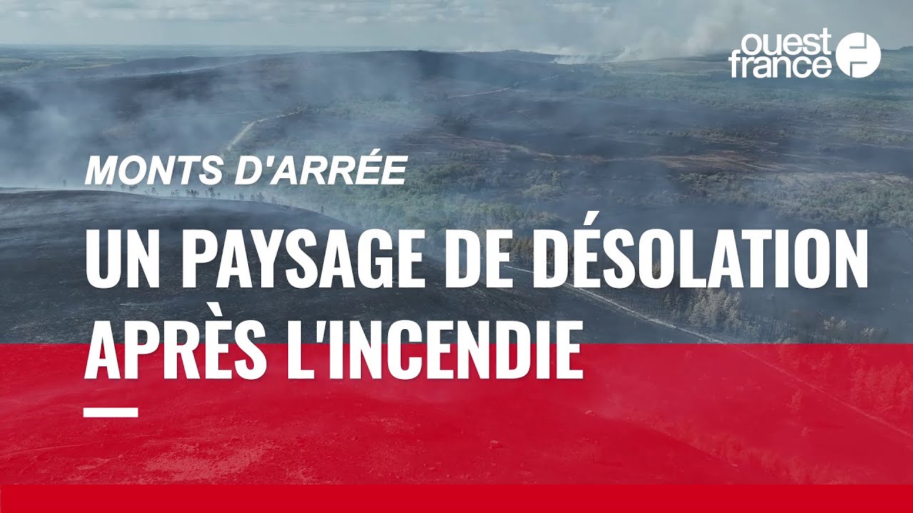 Incendie dans les monts d’Arrée : les images impressionnantes des landes ravagées