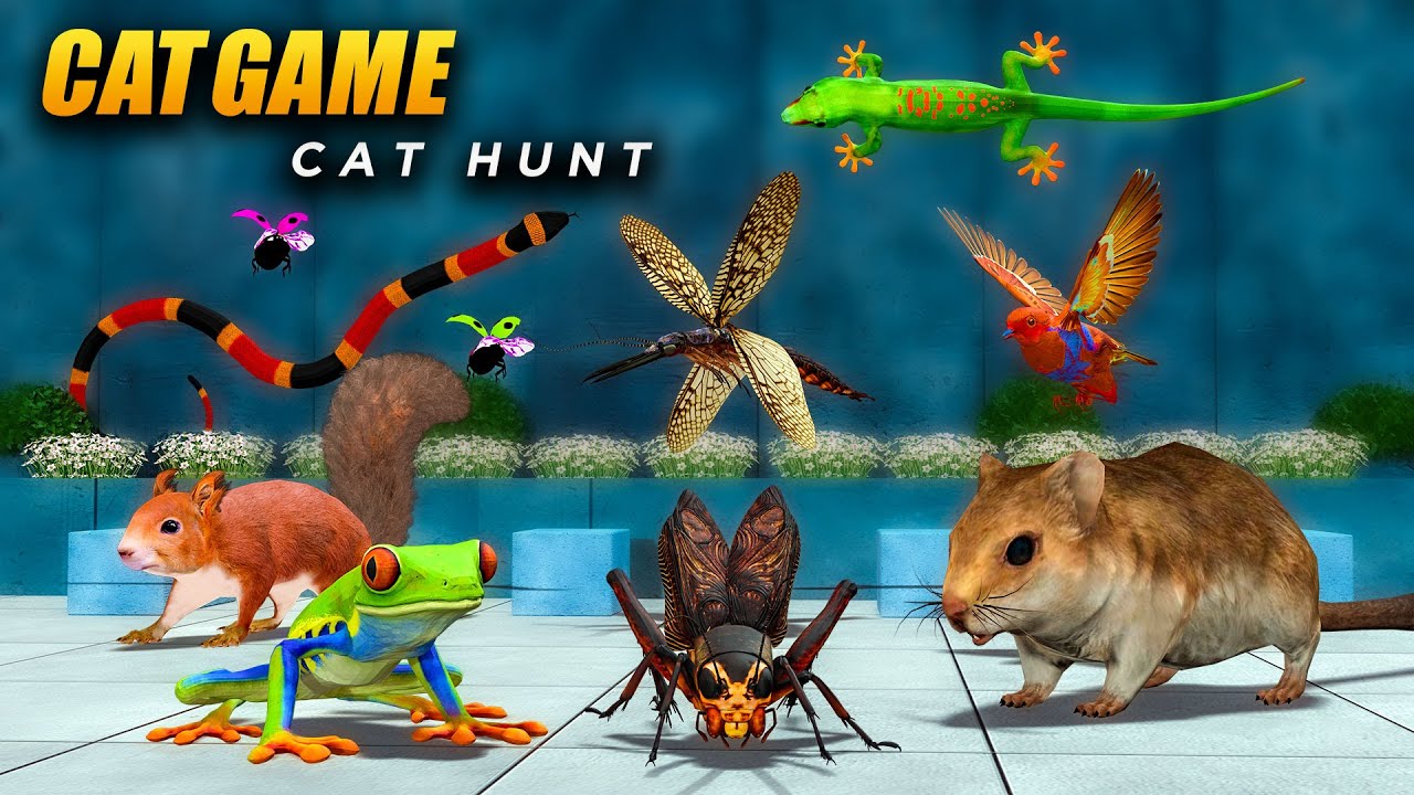 CAT Games | 8 Hours Ultimate 3D CAT TV | Epic Videos for Cats – More! 😻 4K60FPS