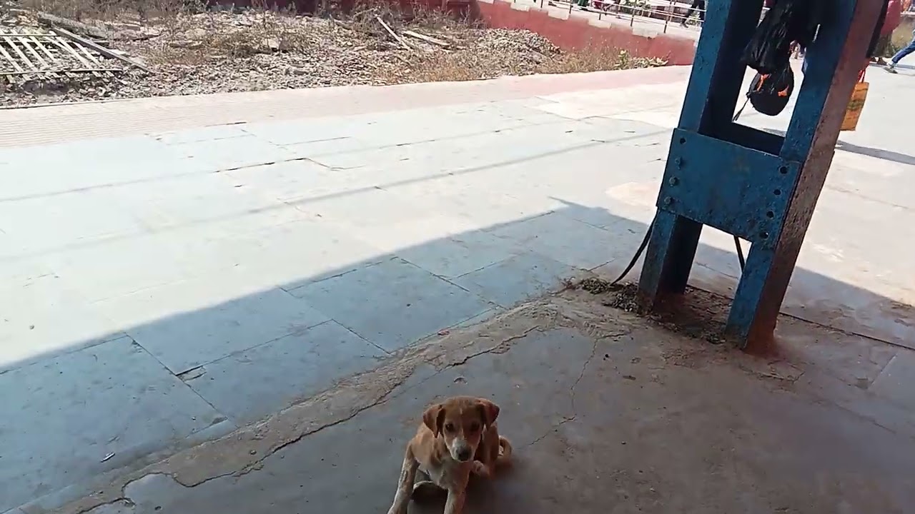 लखीसराय रेलवे स्टेशन ( Lakhisarai Bihar 