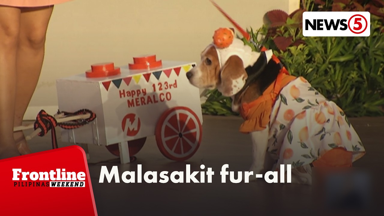 Rescued fur babies, rumampa sa pet fashion show ng Meralco | Frontline Weekend