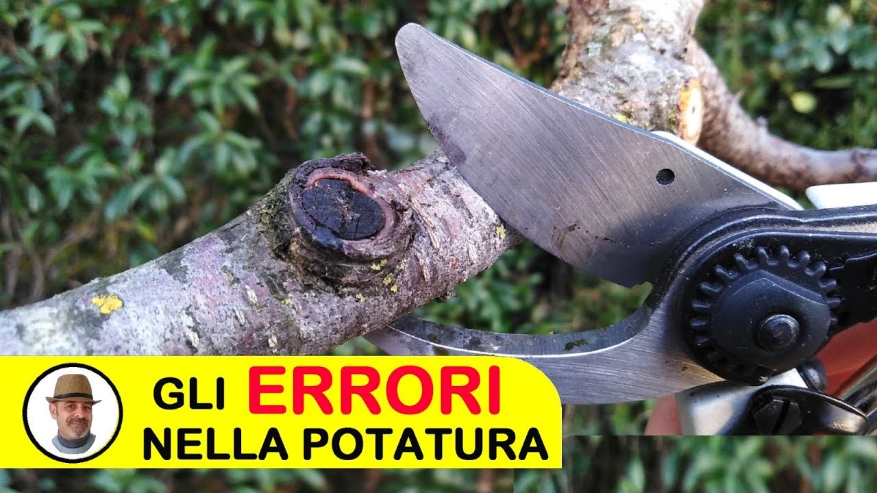 GLI ERRORI PIU' COMUNI NELLA POTATURA