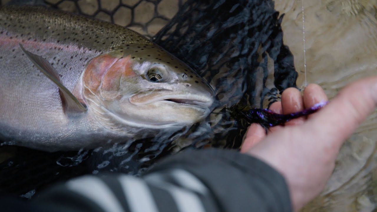 Guaranteed to Catch More Fish! Understand the Baitfish Seasons with Kevin Feenstra (Module One)