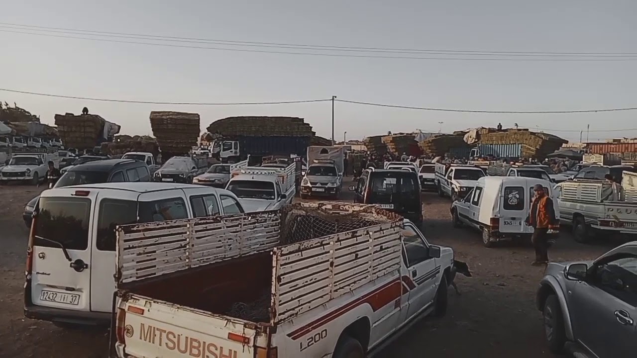 رحبة البهايم سوق هوارة اولادتايمة 44