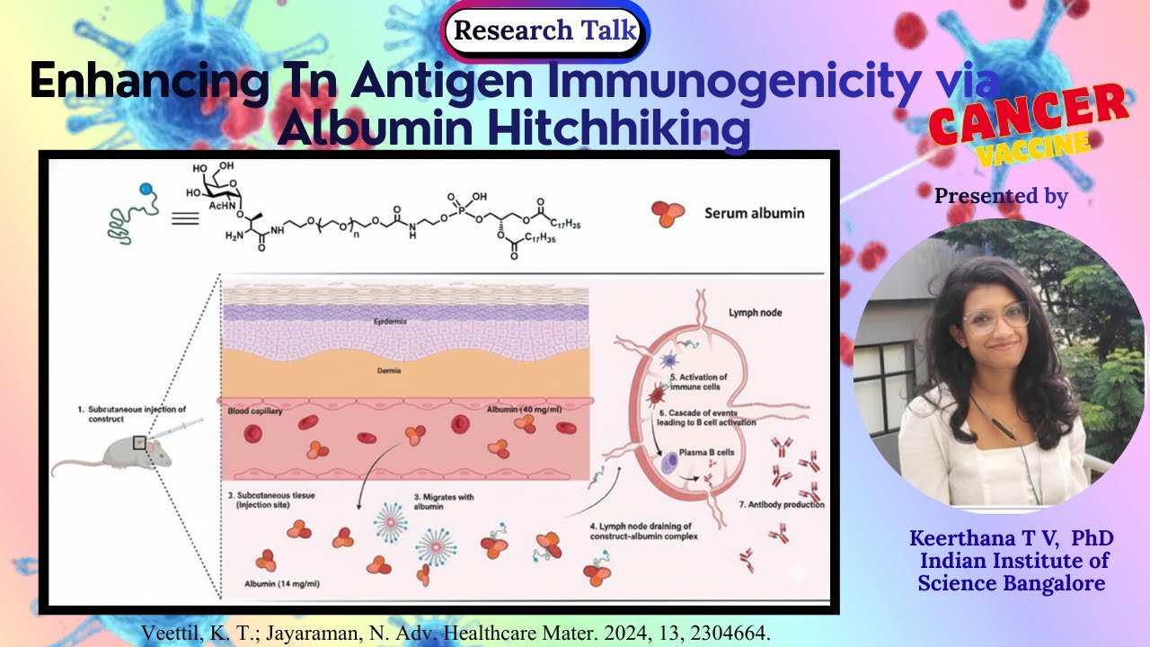 Enhancing Tn Antigen Immunogenicity via Albumin Hitchhiking