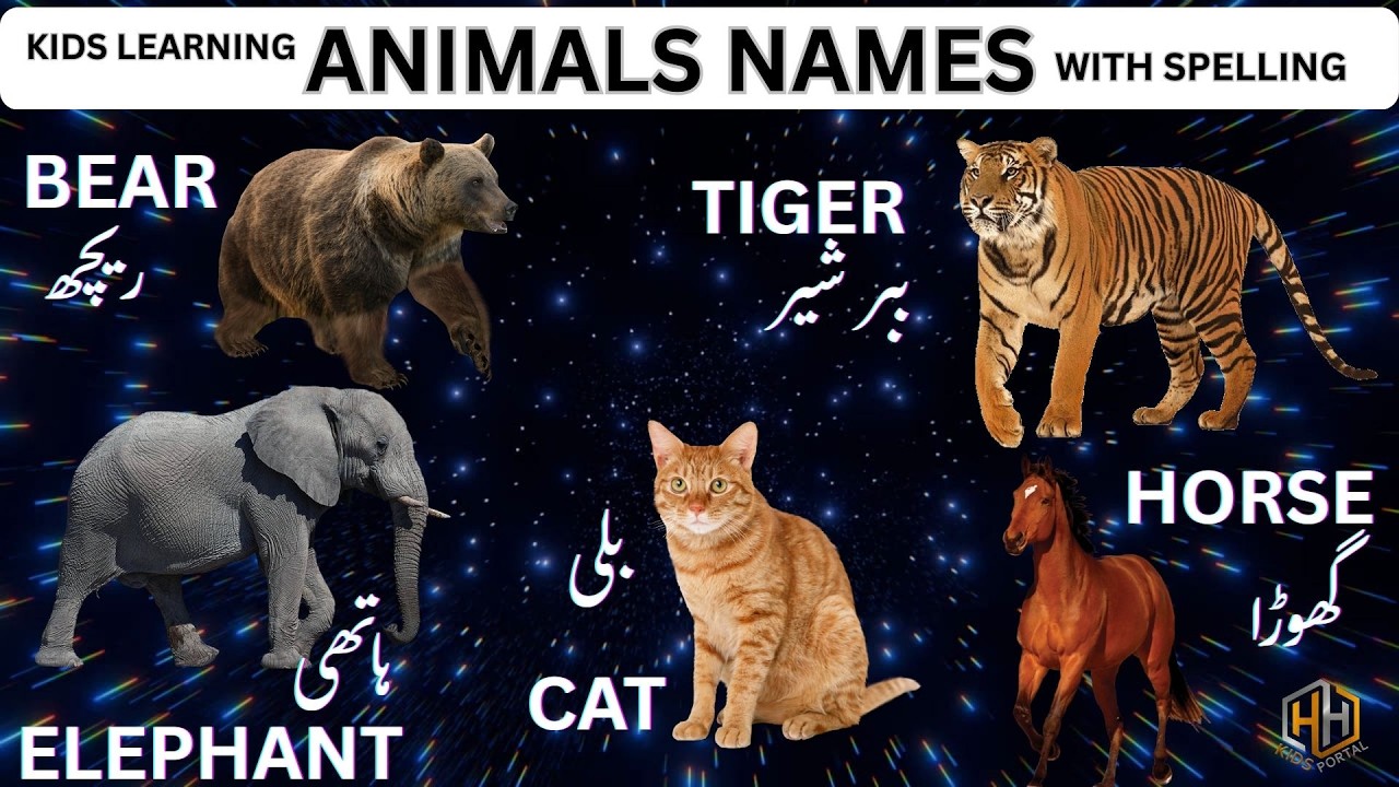 Animals Names With Meaning #cat #horse #hhkidsportal