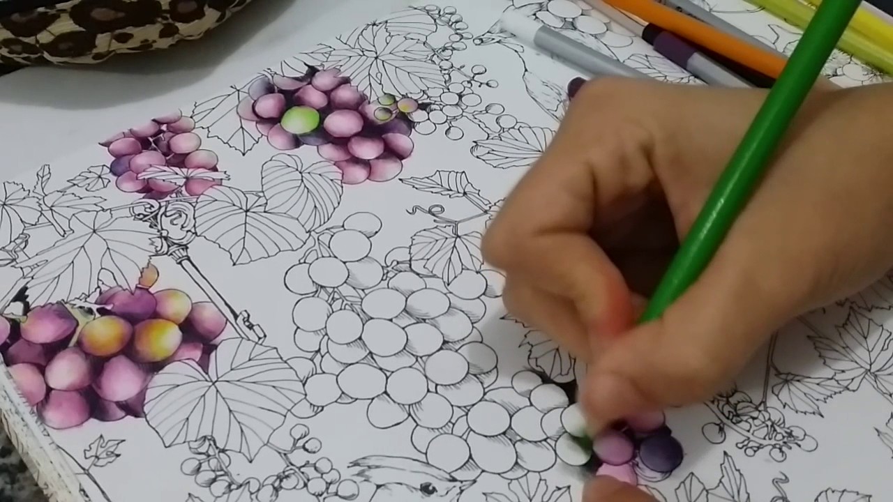 Colorindo uvas do livro Rhapsody in The forest