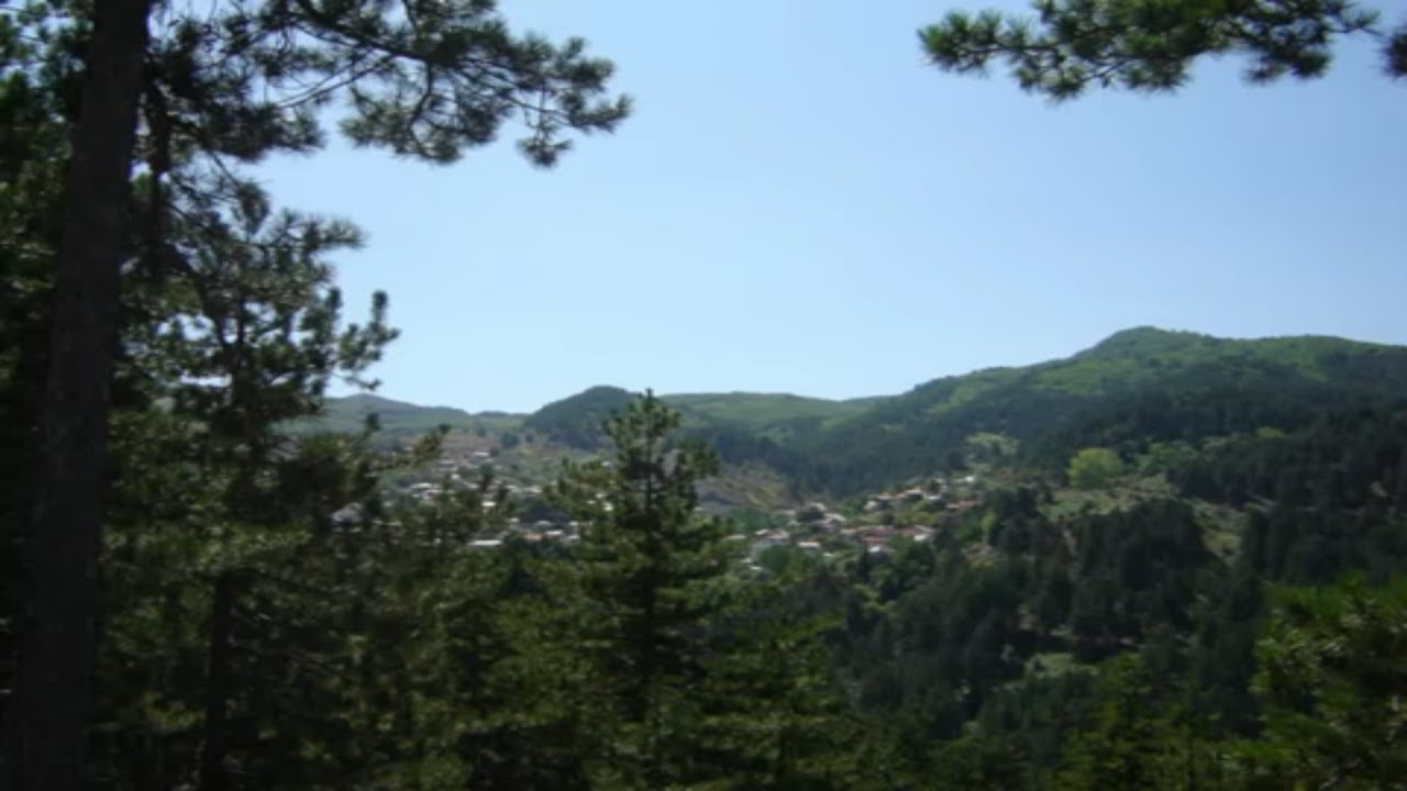 Αηδόνι Κωστας Τσιοτίκας  Βαγγελάκος Κασιάρας