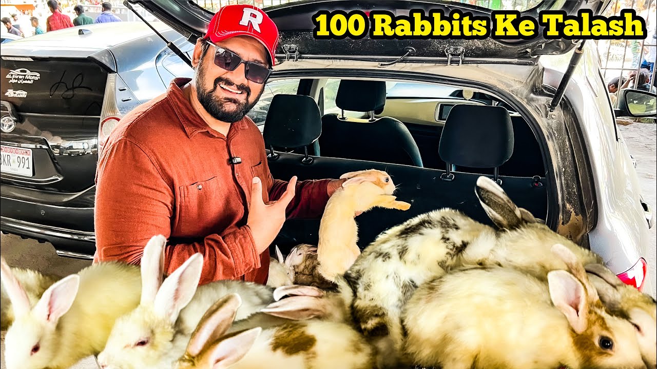100 Khargosh (Rabbits) Ke Talash Birds Market Karachi @eatanddiscover