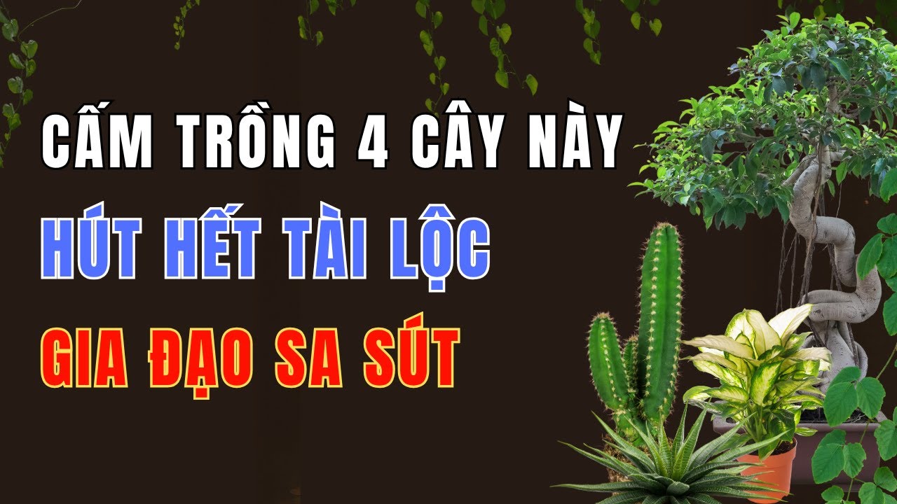 4 Loại Cây Tuyệt Đối Cấm Trồng Trong Nhà – Hút Hết Tài Lộc, Gây Bệnh, Khiến Gia Đạo Lụi Bại!