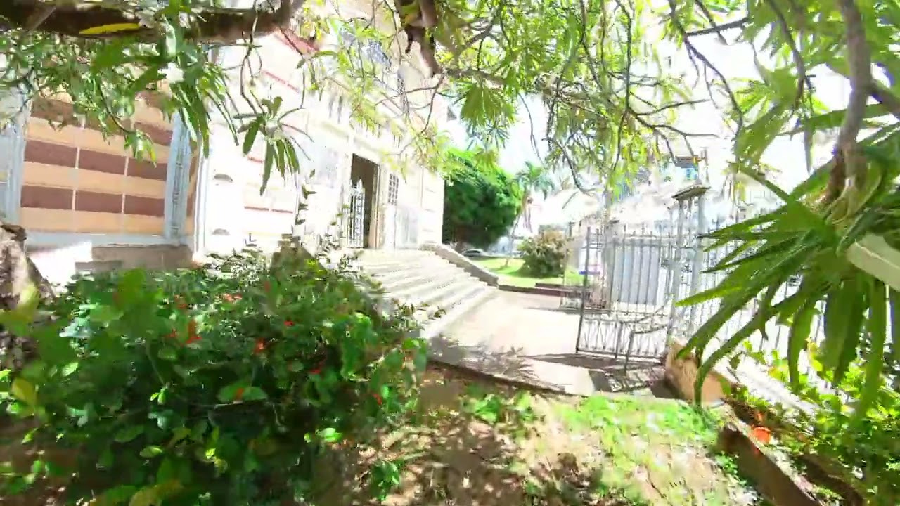 biblioth&egrave;que Schoelcher les jardins2
