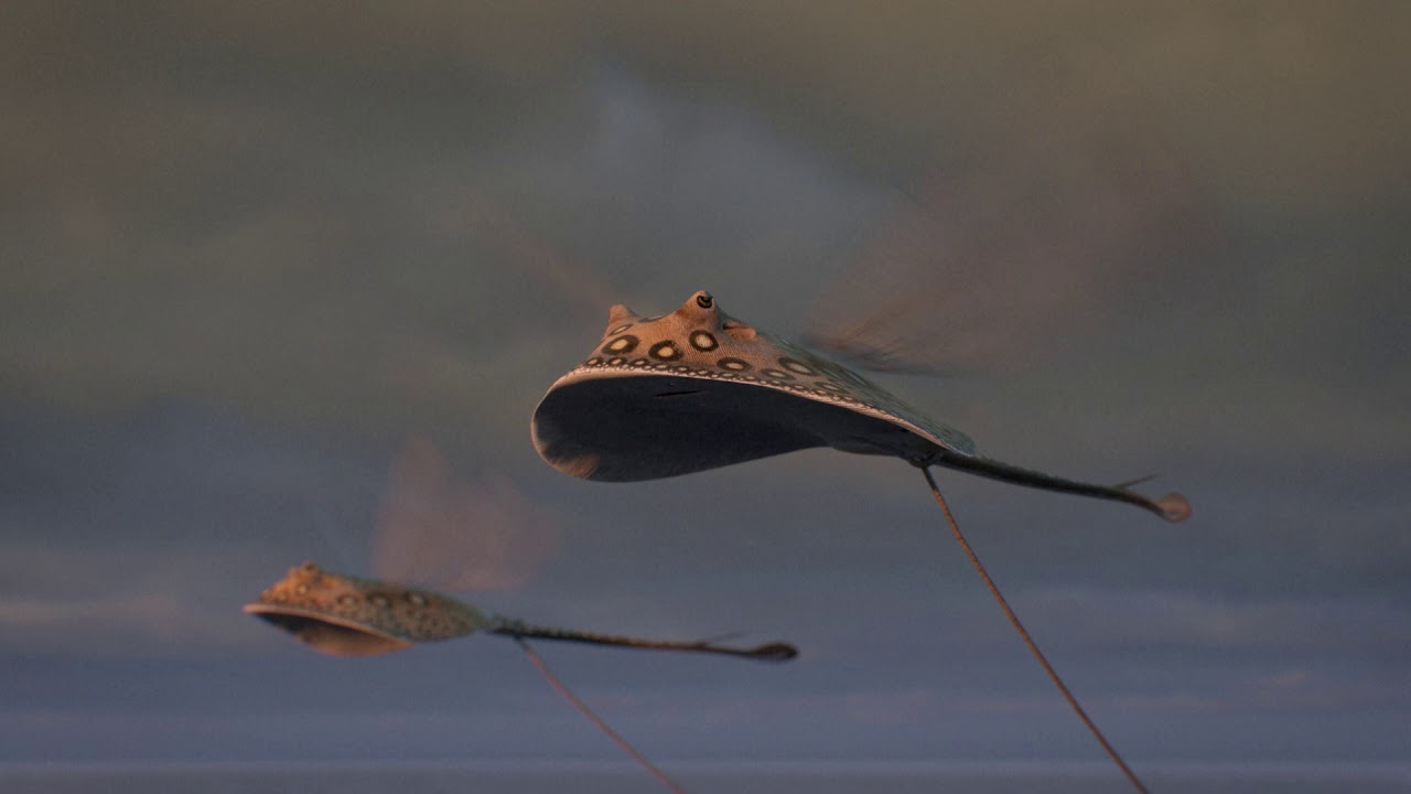 Ocean Tempest Scarf by Nabila K