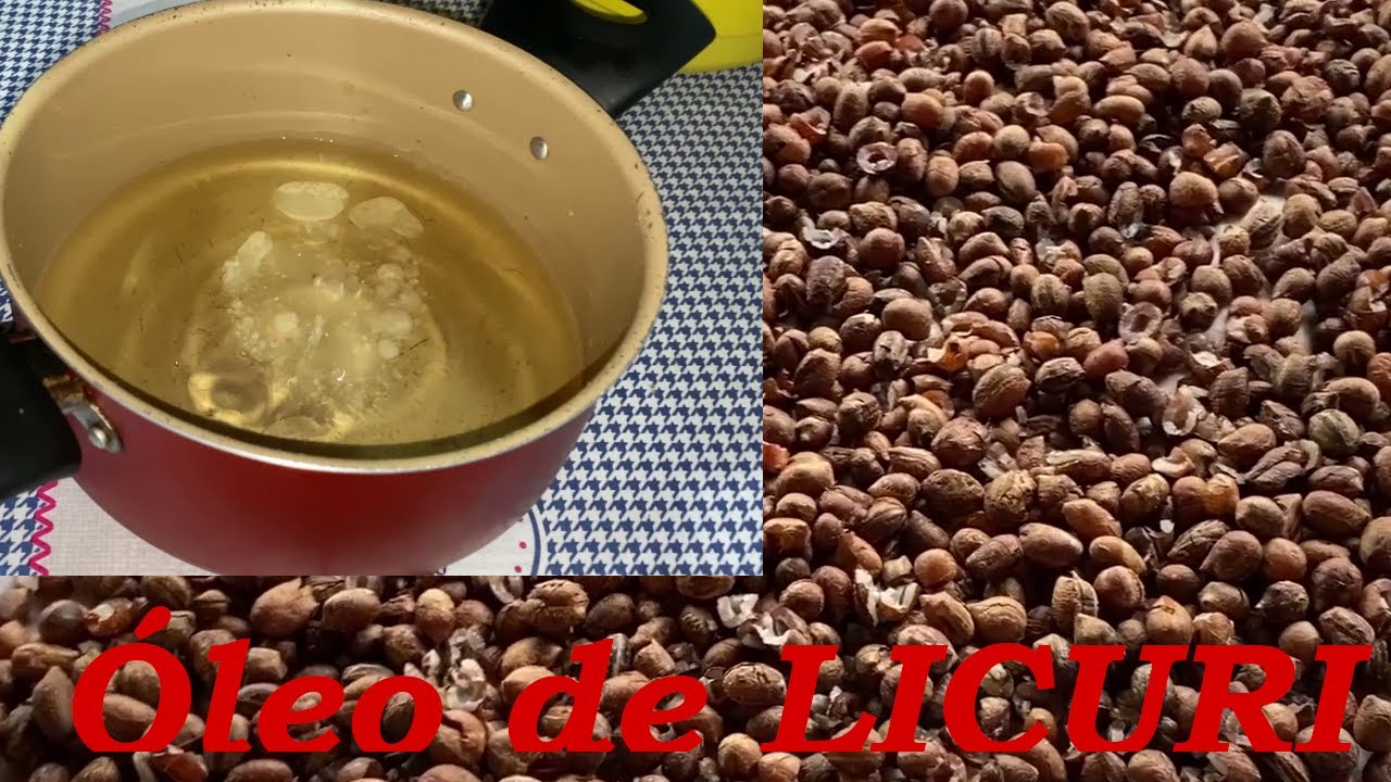 Preparo do &Oacute;leo de LICURI caseiro. #&oacute;leo #licuri #natural #saud&aacute;vel #ro&ccedil;a #interior #bahia