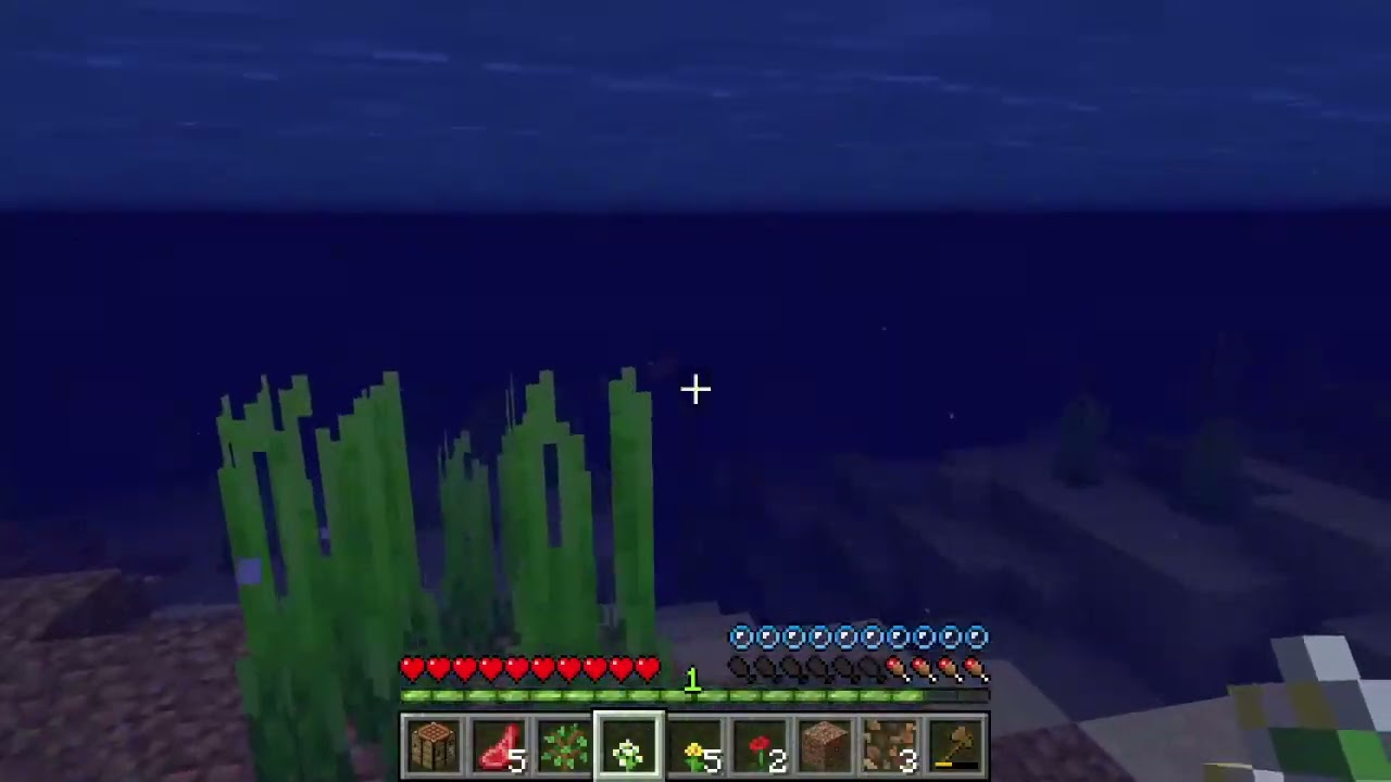 ASMR starting a Minecraft world