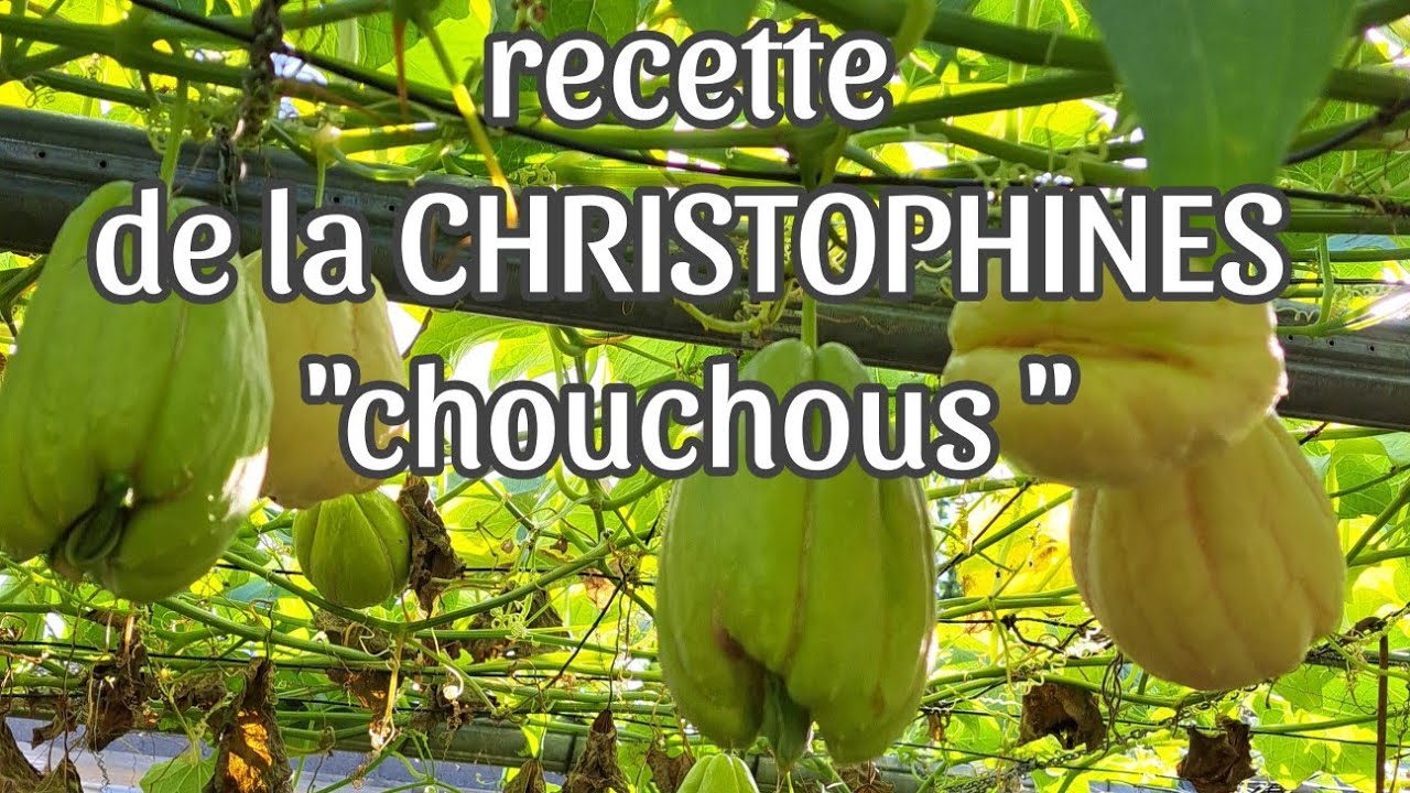 COMMENT CUISINER LA CHRISTOPHINES