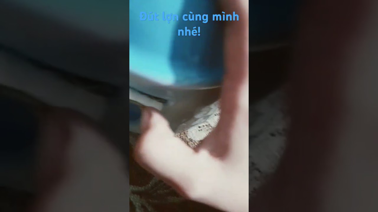 Đ&uacute;t lợn c&ugrave;ng m&igrave;nh nh&eacute;!