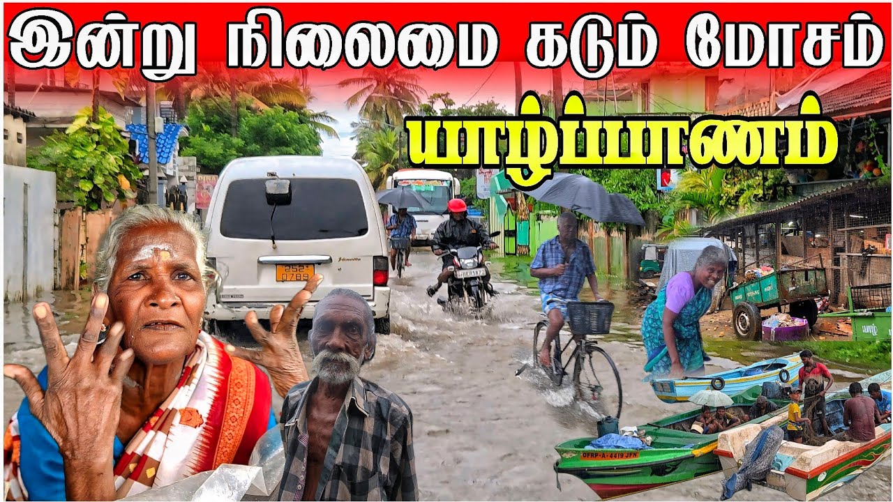 🚨ஆபத்தில் சிக்கிய யாழ்ப்பாணம்! இன்று நிலைமை கடும் மோசம் |Jaffna Rain Update