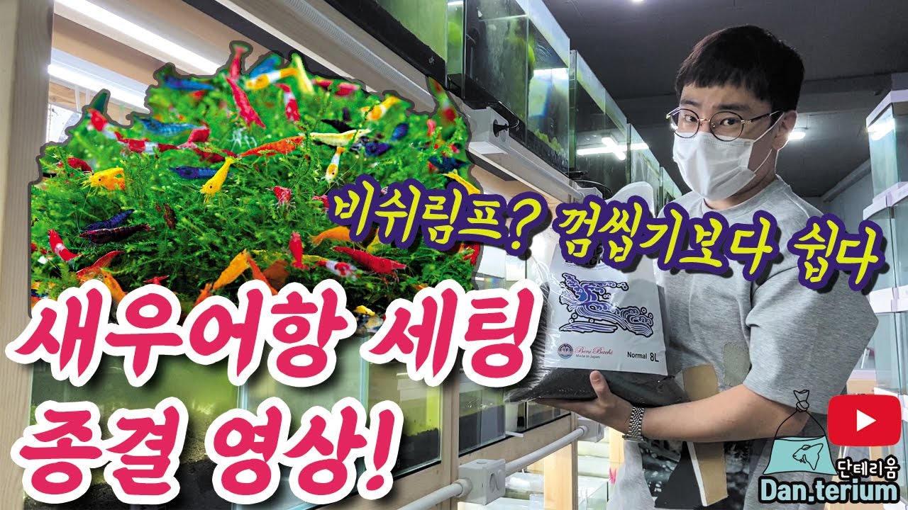 이영상 하나면 끝. 새우키우기 초고수의 비쉬림프 어항세팅방법 대공개!!