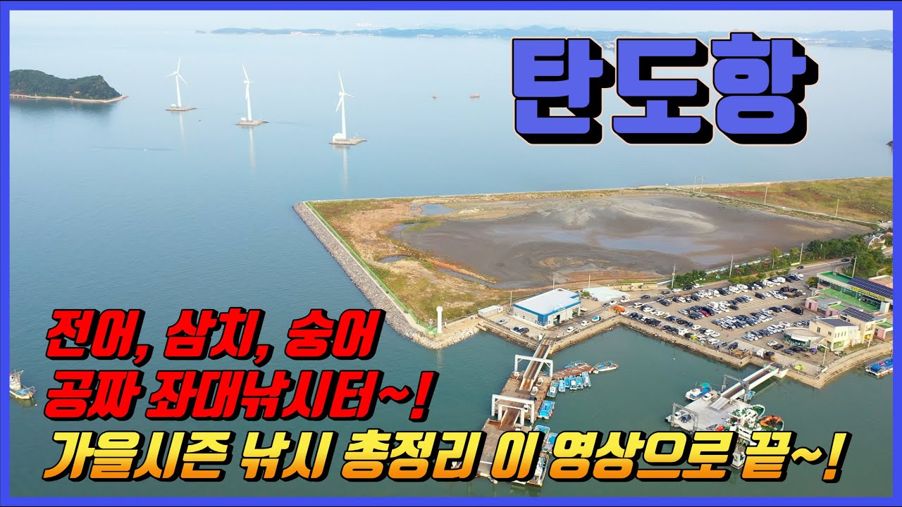 가을시즌 탄도항 낚시포인트 정리는 이 영상 하나로 끝입니다~! (탄도항 낚시 전 시청 필수!!!)