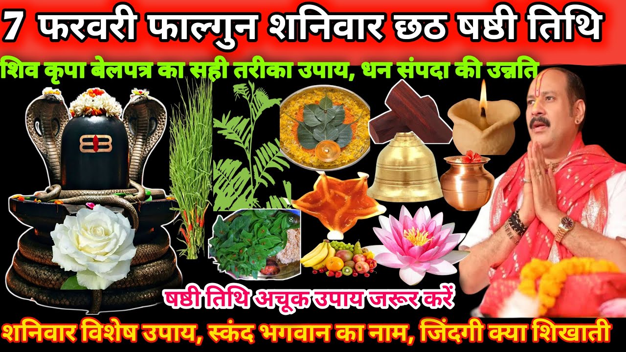 7 फरवरी शनिवार फाल्गुन मास षष्ठी तिथि के दिन शिवा। शिव कृपा बेलपत्र का सही तरीका उपाय 🌿👍#upay#shiv 