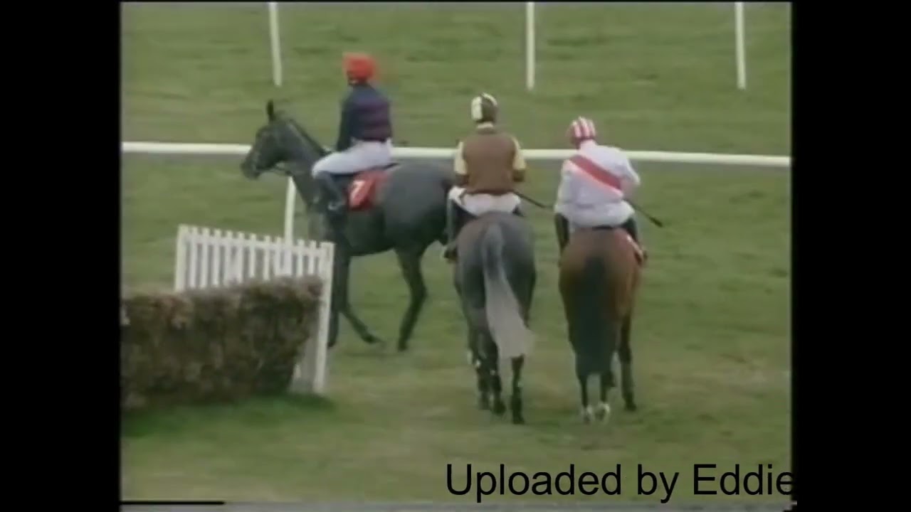 1994 Scottish Champion Hurdle Ayr