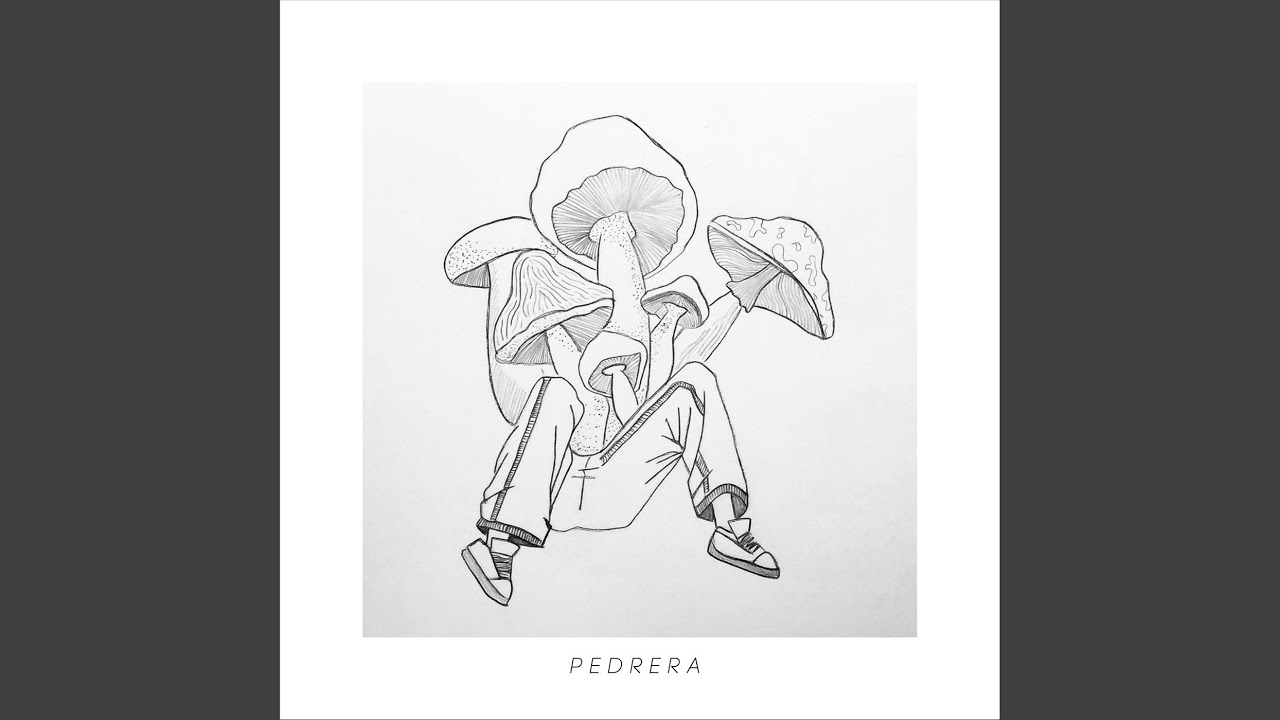 Ceder