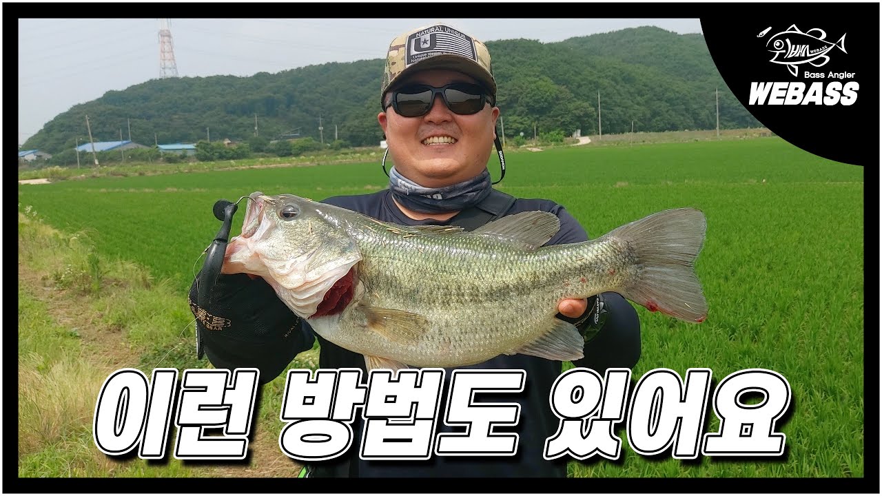 [배스낚시] 대호만 삼봉지에서 섀드웜 첫 버징 낚시. Ep.198 위배스