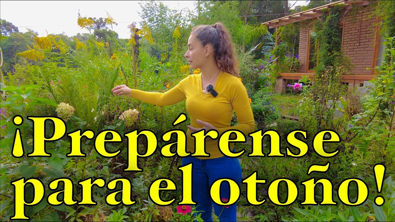 Qué GERMINAR en el FINAL DEL VERANO (huerto, bulbos y flores)