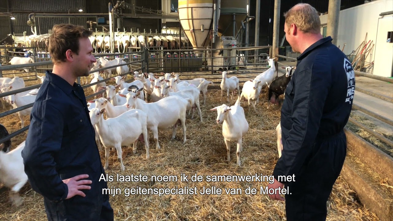 CAPRIBIZA geitenhouder