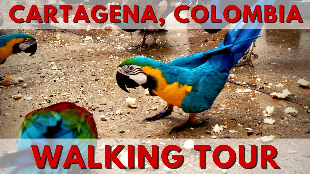Cartagena Colombia Cruise Port Walking Tour