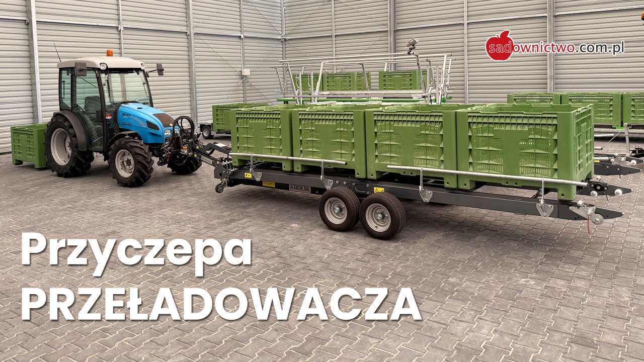 Zbiory jabłek - Przyczepa PRZEŁADOWCZA