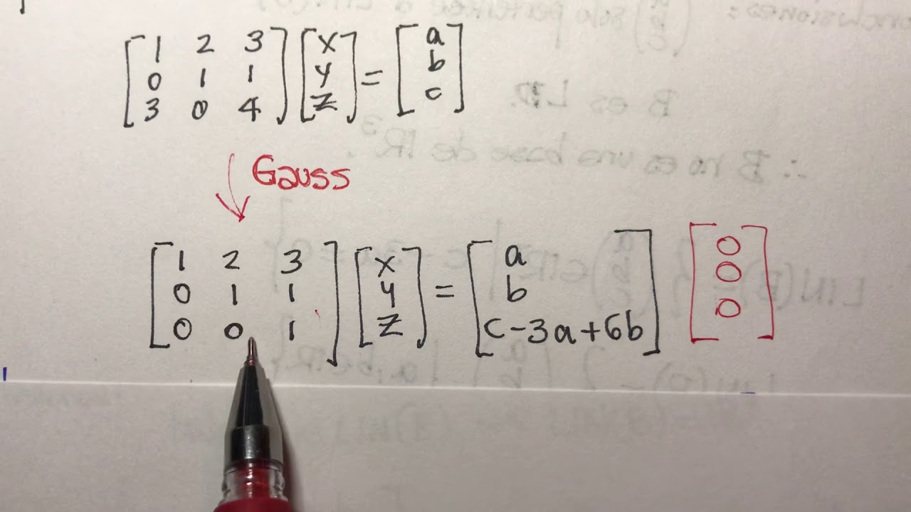 Base y Dimensi&oacute;n