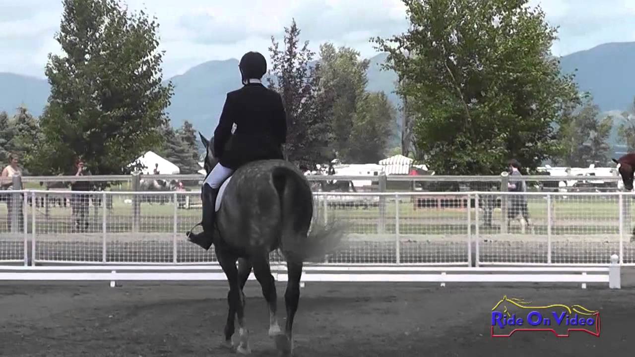 148D Samantha Bergin on Loki Preliminary Dressage The Event at Rebecca Farm July 2014