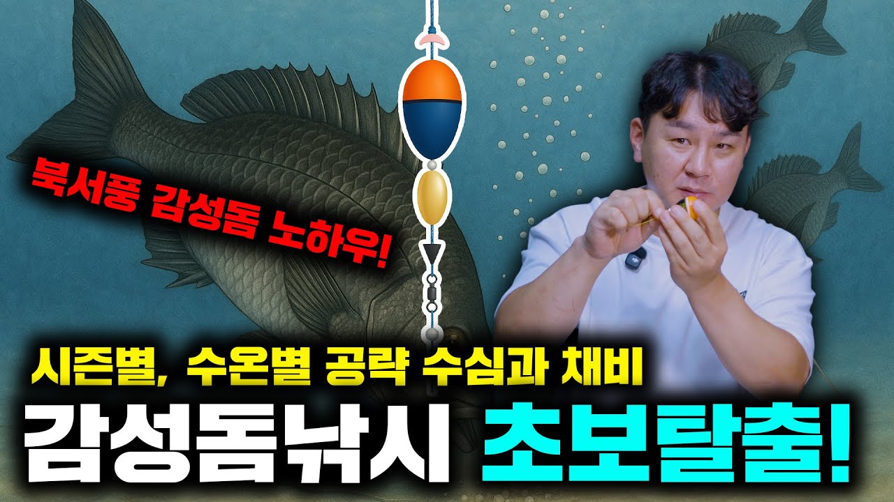 초보자분들이 알아야할 시즌별 감성돔 낚시 핵심!