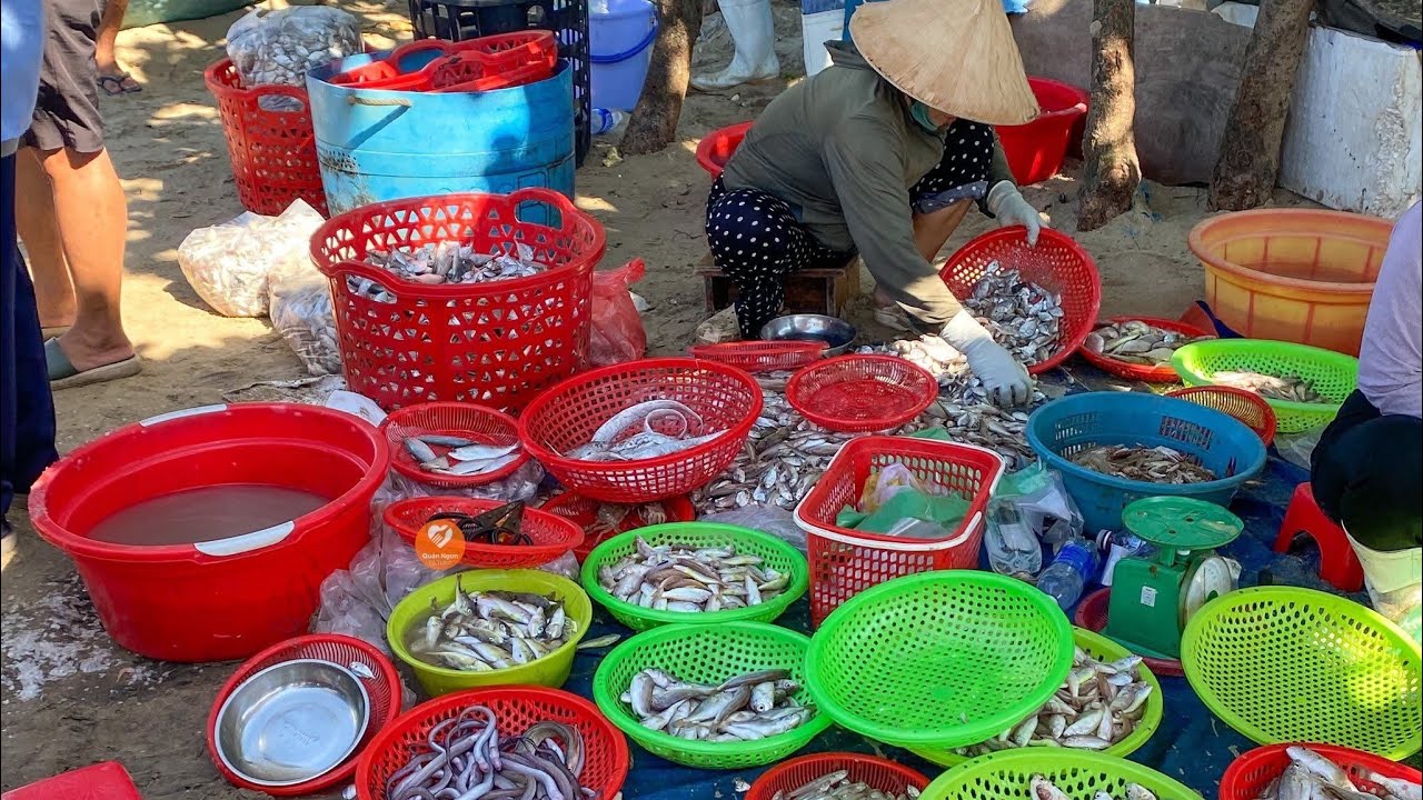 Chợ biển Tam Tiến quê em 