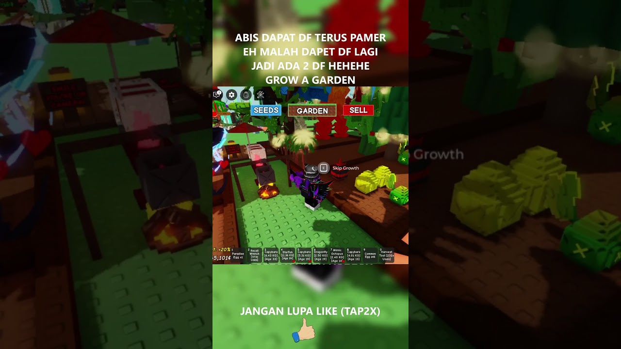 HOKI BANGET 1 HARI DAPAT 2 DF HEHE #roblox #growagarden #shorts