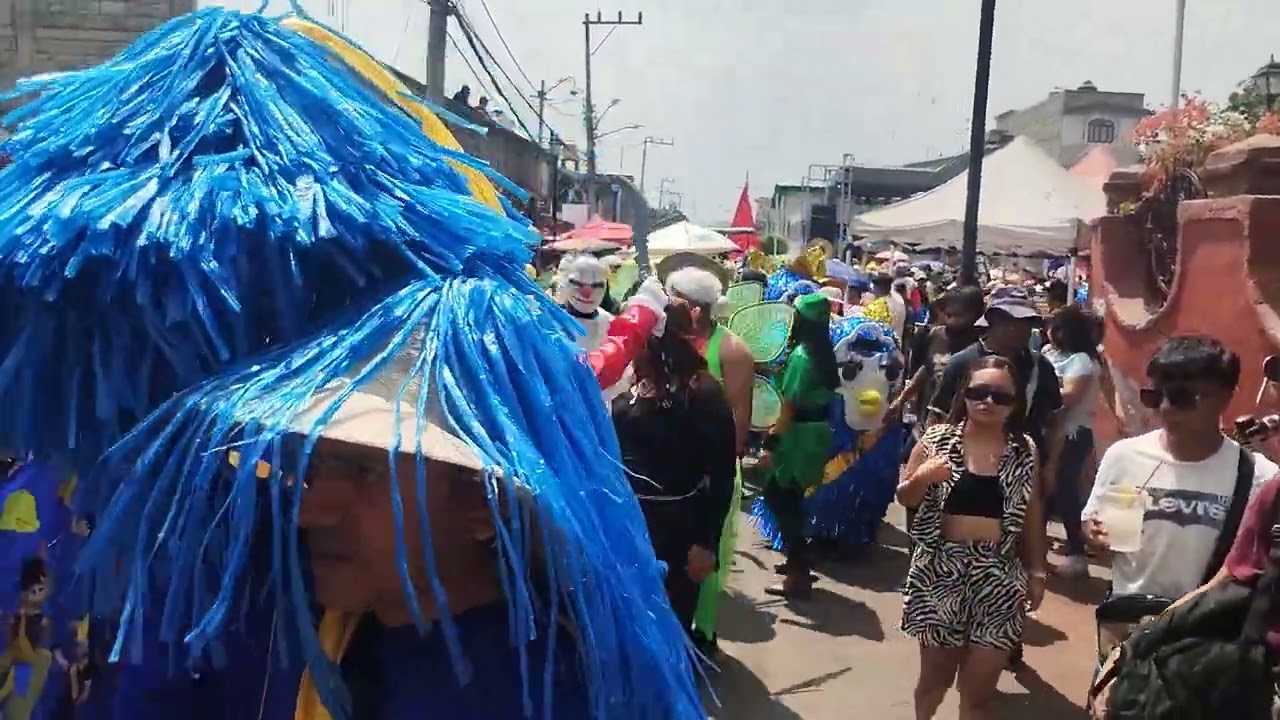 CARNAVAL CLUB ORO A Y AMIGOS CAMPAS 2025