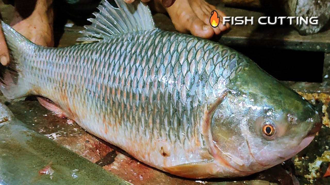 🔥Most Popular Rohu Fish Cutting Skills 🔪 Fish Market Live Fish Cut \ Fish Cut Video | FISH END SHORY
