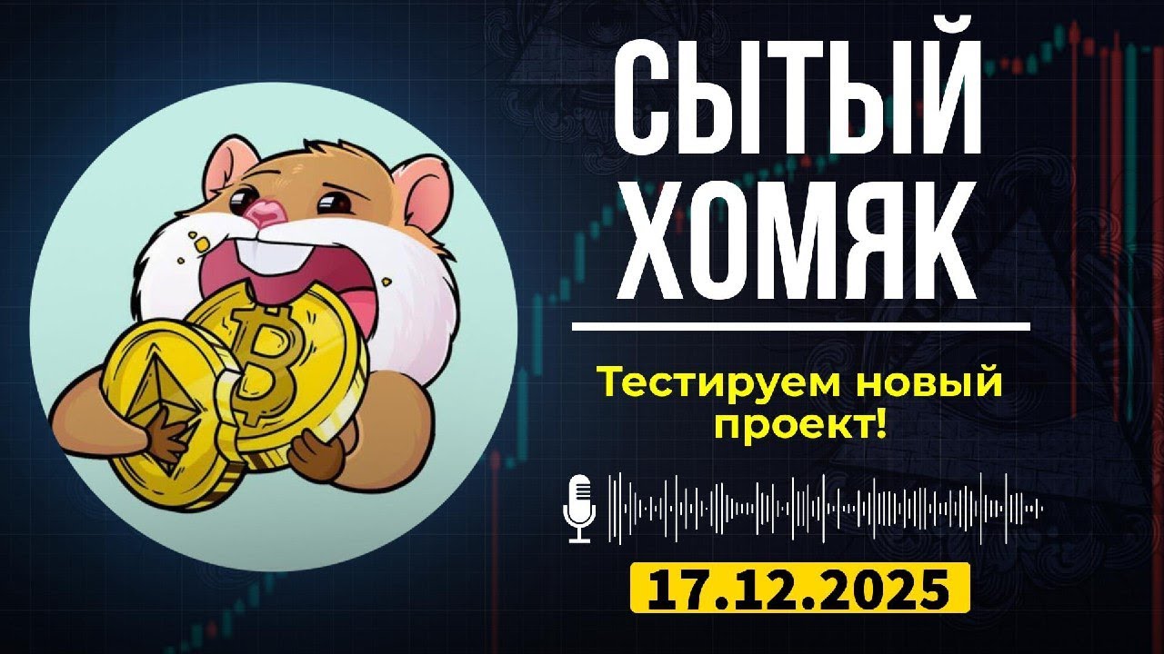Утечка из приватки Сытый Хомяк | Тестируем проект на CryptoRank: шаги к возможным вознаграждениям!