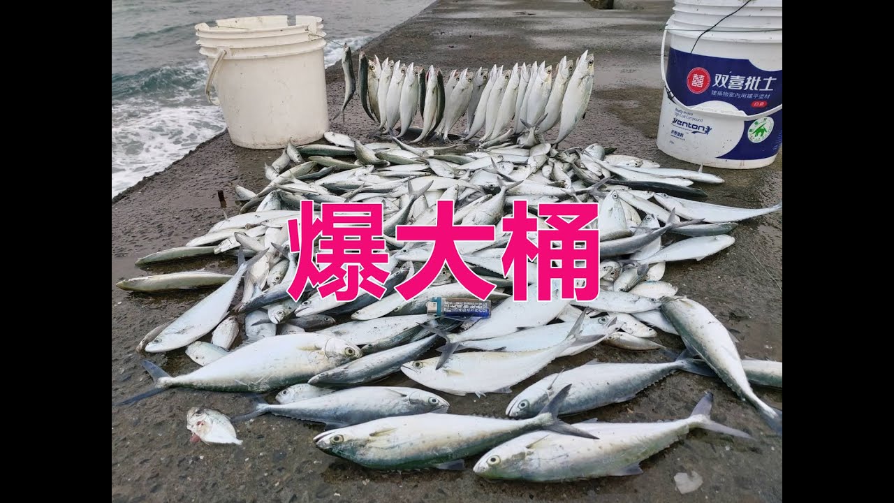 教您如何釣刺蔥爆桶  #fishing #fish #angler #carpfishing #automobile #beach #fishingtips #travel #bassfishing