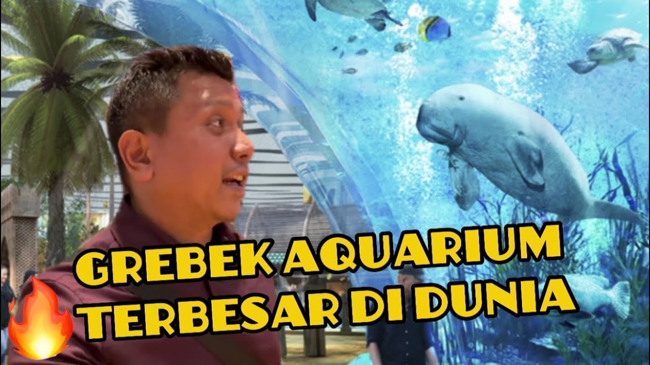 AQUARIUM TERBESAR DI DUNIA !!! - ABU DHABI SEAWORLD