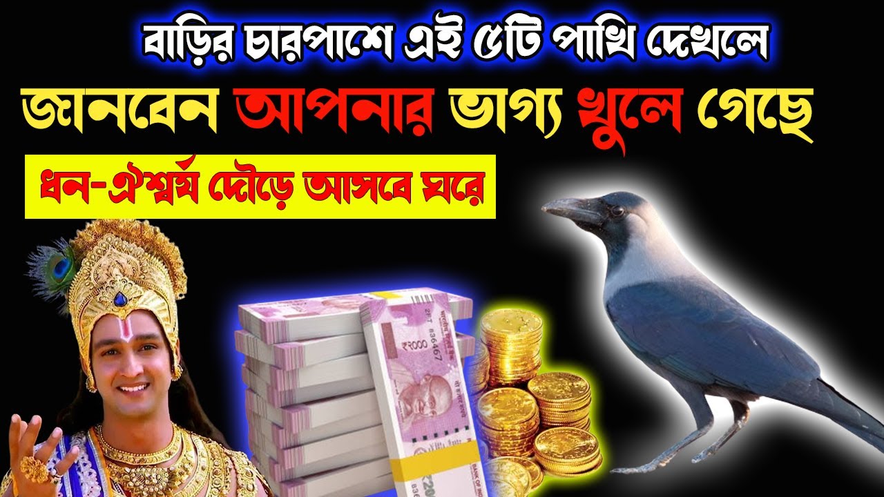 স্বয়ং শ্রীকৃষ্ণ বলেছেন বাড়ির চারপাশে এই পাখি দেখলে ভাববেন | আপনার ভাগ্য খুলছে | Jay Shri Krishna