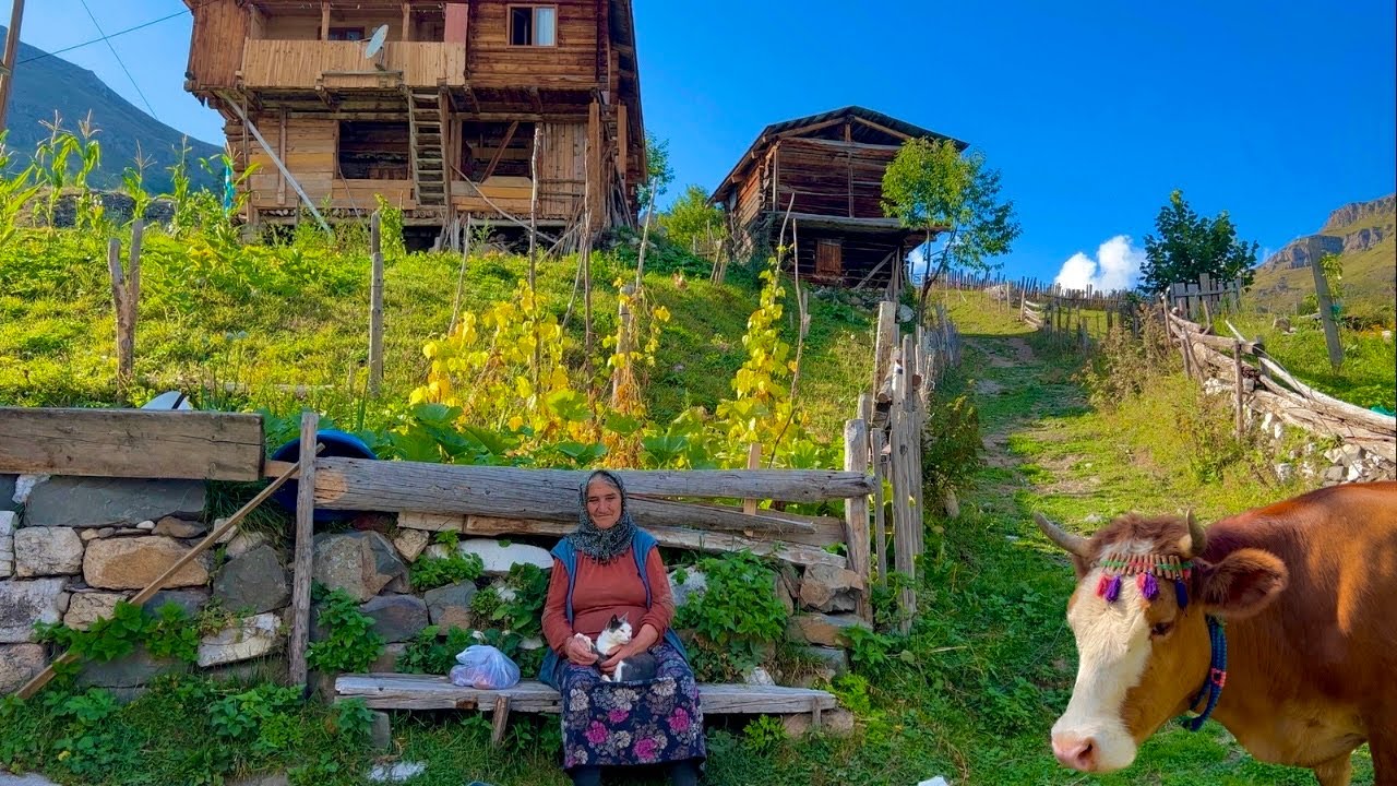 Два часа реальной жизни в деревнях Северной Турции: готовим по-деревенски