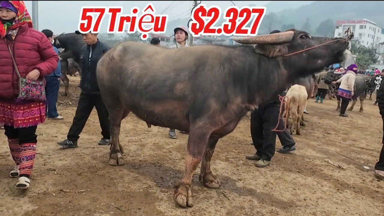 Khám phá khu chợ vùng cao độc đáo của Việt Nam