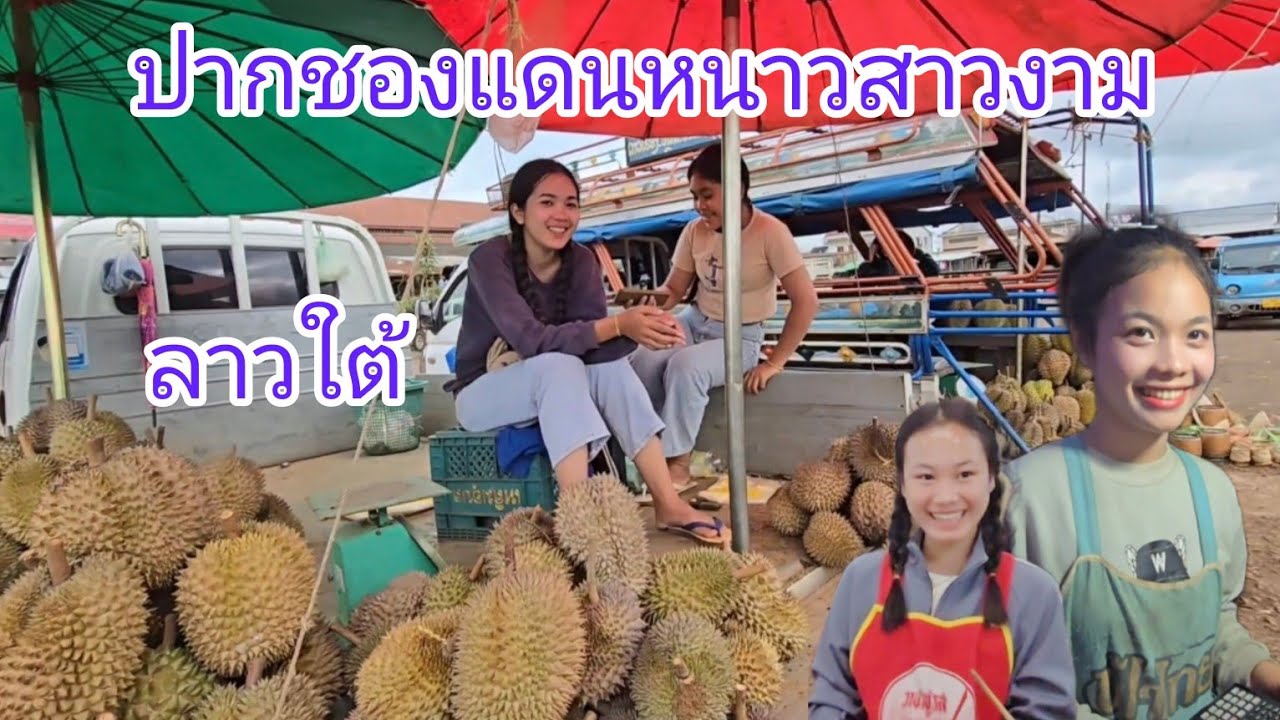 #เที่ยวลาวใต้ ทุเรียนเมืองปากชอง แดนหนาวสาวงาม #สาวลาว #สาวลาวใต้ น่ารักเสมอ #เที่ยวลาว #สปปลาว