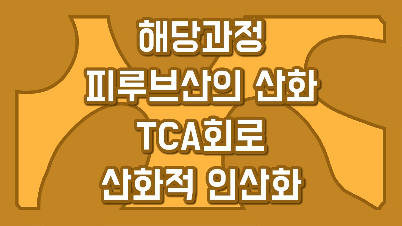 생명과학2 세포 호흡의 과정