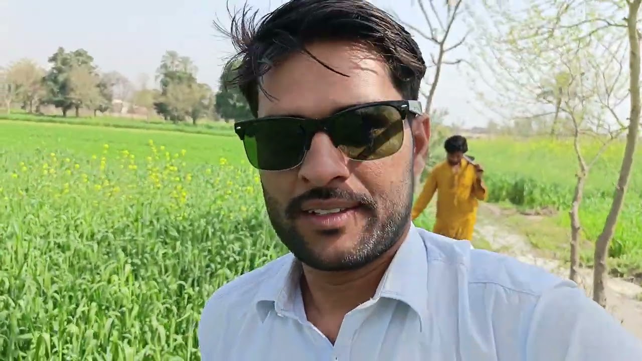 Hamare kheton ki sabji Tori Tamatar