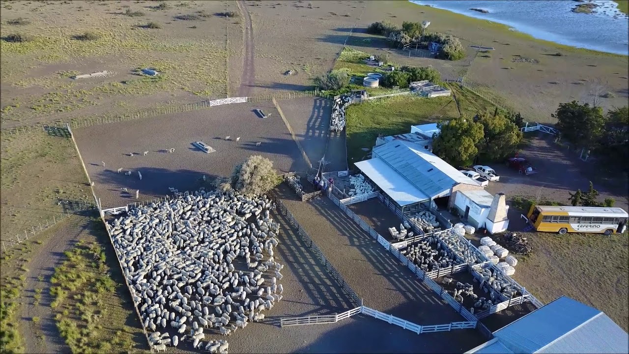 Campo y esquila Ayacucho Sur Chubut