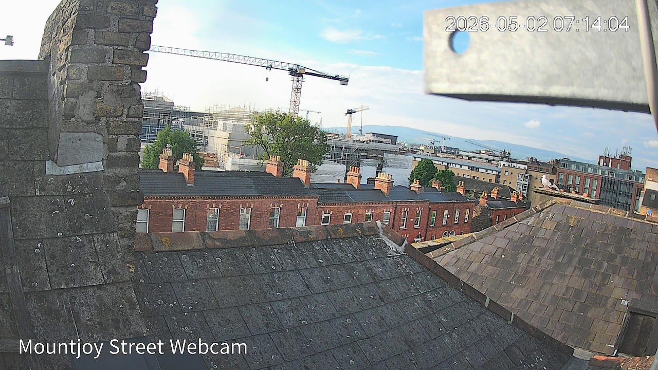 Mountjoy Street Live Webcam Dublin Ireland