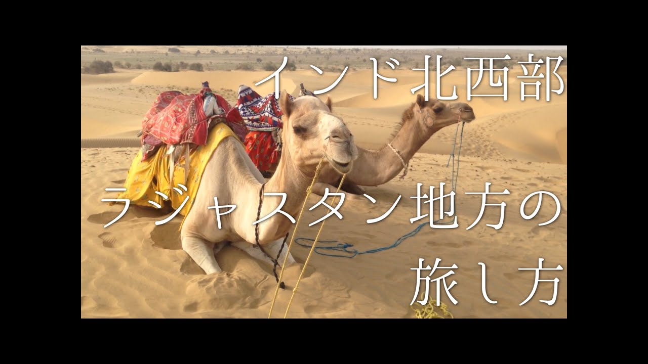 インド ラジャスターン地方の旅し方